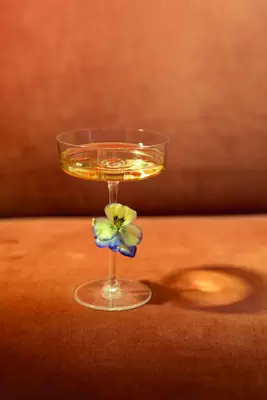 Casa Sam 16cl SAM0401 martini