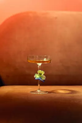 Casa Sam 16cl SAM0401 martini