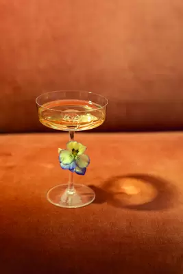 Casa Sam 16cl SAM0401 martini