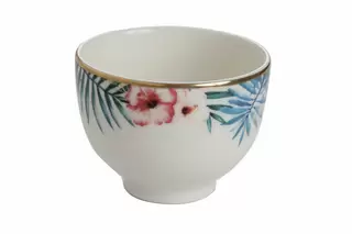 /Sosijera 6cm Exotic 368407