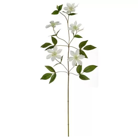 Grana clematis 78cm 66639444