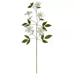 Grana clematis 78cm 66639444